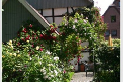 ausflug2008-23