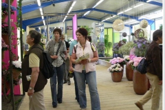 ausflug2008-7